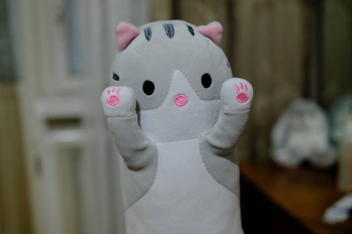 Peluches kawaii : l'univers japonais qui fait craquer